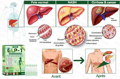 🇨🇦 Magasin Officiel | 𝐇𝐇𝐕𝐁® 🍀𝑁𝐴𝐷+ 𝐺𝐿𝑃-1 𝙎𝙤𝙡𝙪𝙩𝙞𝙤𝙣 𝙤𝙧𝙖𝙡𝙚 𝙩𝙤𝙪𝙩-𝙚𝙣-𝙪𝙣 𝙁𝙞𝙩&𝙑𝙞𝙩𝙖𝙡 – 1x/jour, résultats visibles en 7 jours ✅ Soutien pour obésité, cœur, diabète, sommeil, digestion et articulations