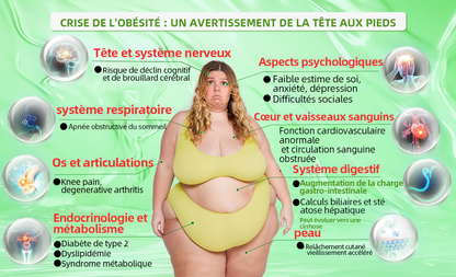 🇨🇦 Magasin Officiel | 𝐇𝐇𝐕𝐁® 🍀𝑁𝐴𝐷+ 𝐺𝐿𝑃-1 𝙎𝙤𝙡𝙪𝙩𝙞𝙤𝙣 𝙤𝙧𝙖𝙡𝙚 𝙩𝙤𝙪𝙩-𝙚𝙣-𝙪𝙣 𝙁𝙞𝙩&𝙑𝙞𝙩𝙖𝙡 – 1x/jour, résultats visibles en 7 jours ✅ Soutien pour obésité, cœur, diabète, sommeil, digestion et articulations